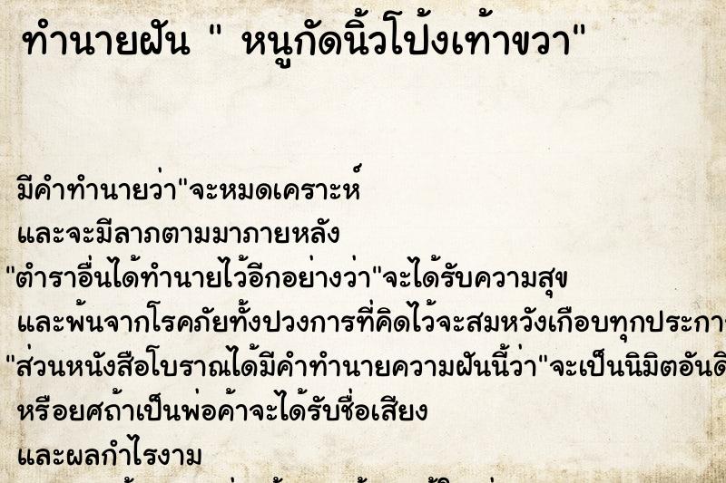 ทำนายฝันหนูกัดนิ้วโป้งเท้าขวา ทำนายฝันทำนายฝันหนูกัดนิ้วโป้งเท้าขวา